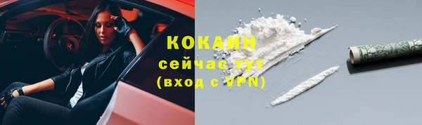 соль ск Белокуриха