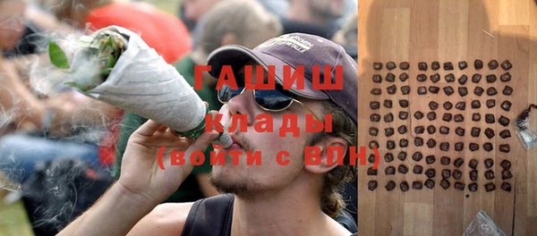 соль ск Белокуриха